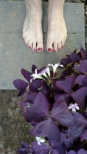 Nancie's toes imagining her new patio Nancie's toes imagining her new patio