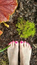 Nancie's toes in fresh spring dirt Nancie's toes in fresh spring dirt