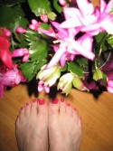 Nancie's toes wishing you happy holidays Nancie's toes wishing you happy holidays