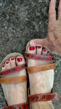 toes in sandals toes in sandals