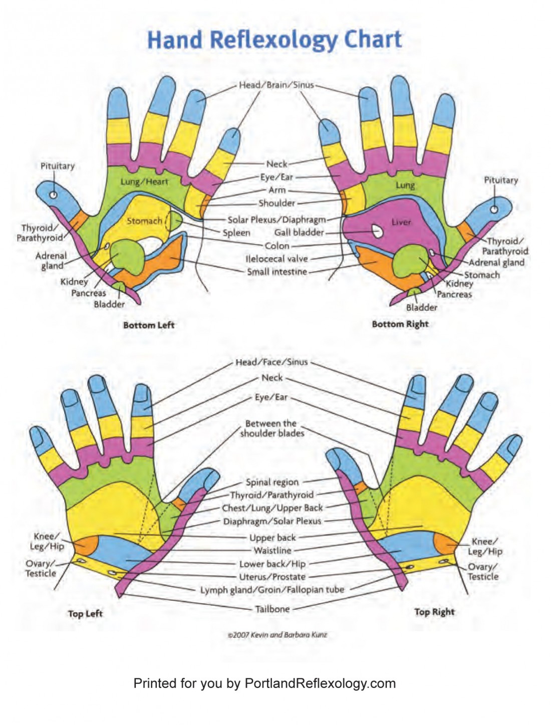 Foot Hand Reflexology Chart